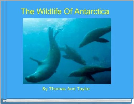 Front cover of 'The Wildlife Of Antarctica ' 