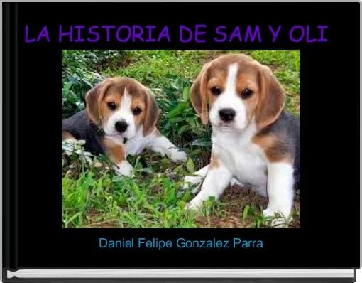 Front cover of 'LA HISTORIA DE SAM Y OLI ' 