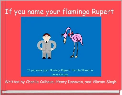 Front cover of 'If you name your flamingo Rupert ' 