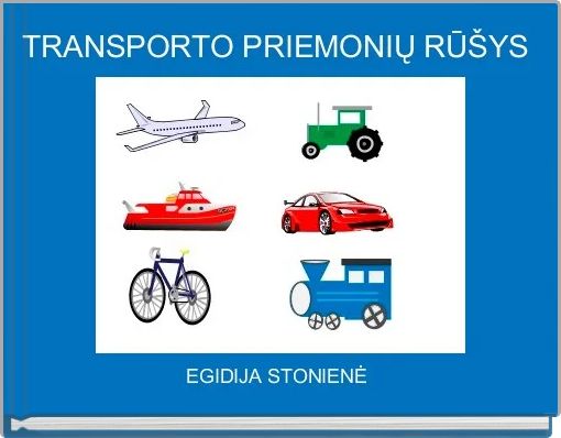 TRANSPORTO PRIEMONIŲ RŪŠYS
