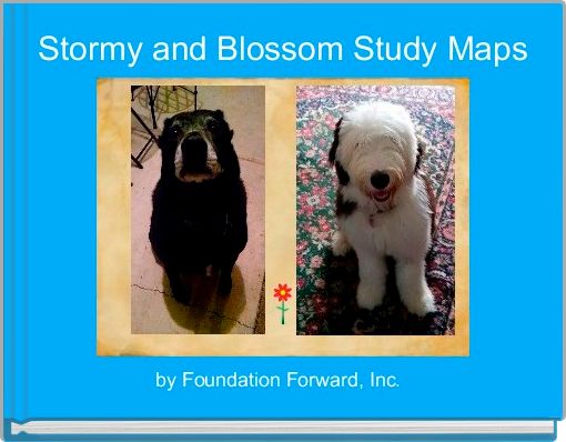 Front cover of 'Stormy and Blossom Study Maps' 