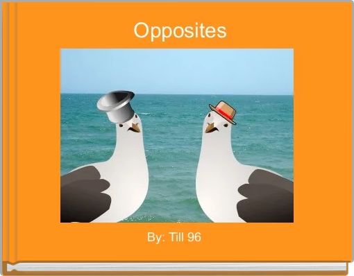  Opposites