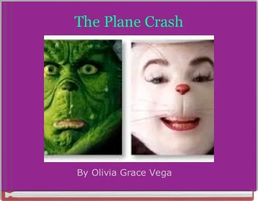 Book Cover for: The Plane Crash