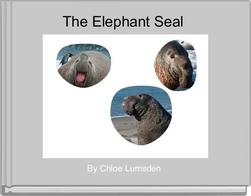 The Elephant Seal 