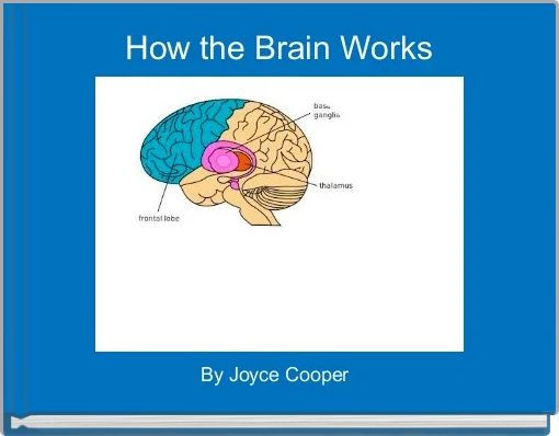 Front cover of 'How the Brain Works' 