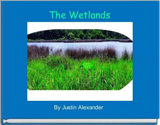 The Wetlands