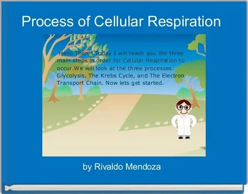Process of Cellular Respiration 
