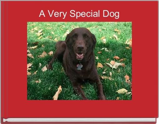 Front cover of 'A Very Special Dog' 