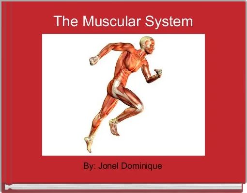 The Muscular System