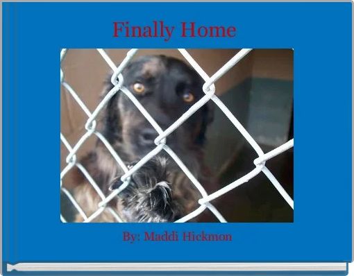 Front cover of 'Finally Home ' 