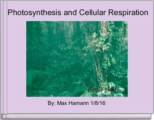 Photosynthesis and Cellular Respiration