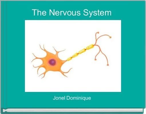The Nervous System 