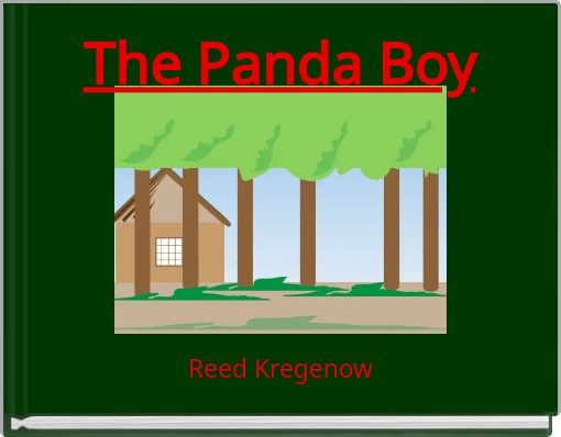Front cover of 'The Panda Boy' 
