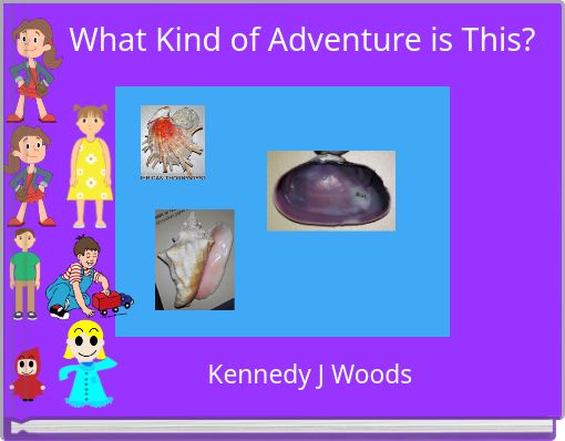 Front cover of 'What Kind of Adventure is This?' 