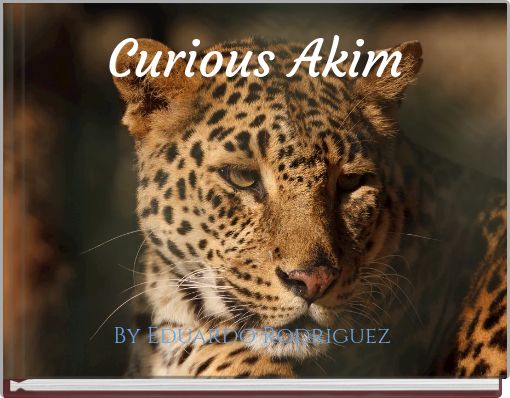 Front cover of 'Curious Akim' 