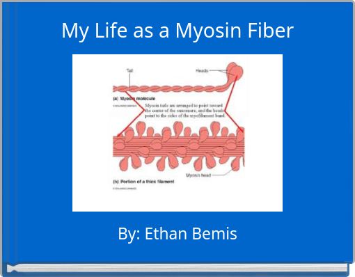 My Life as a Myosin Fiber