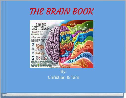 THE BRAIN BOOK