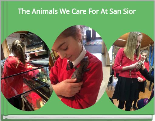 Front cover of 'The Animals We Care For At San Sior' 