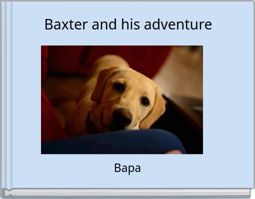 Baxter and his adventure