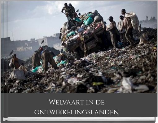 Front cover of 'Welvaart in de ontwikkelingslanden' 
