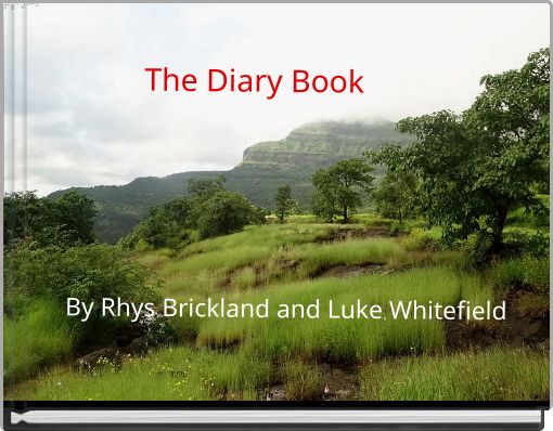 The Diary Book