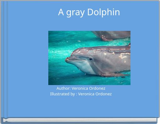 Front cover of 'A gray Dolphin' 