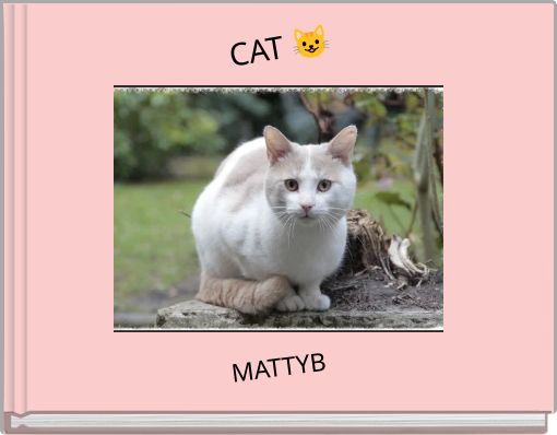 Front cover of 'CAT ' 