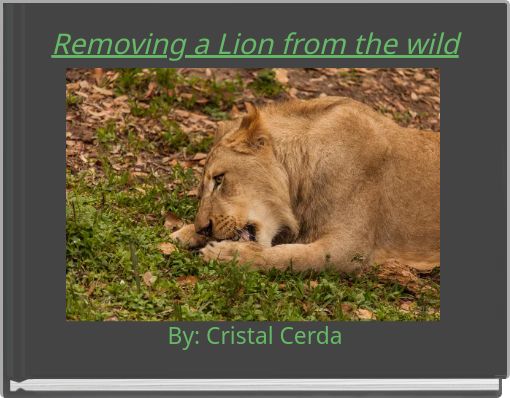 Removing a Lion from the wild
