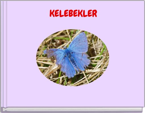 KELEBEKLER