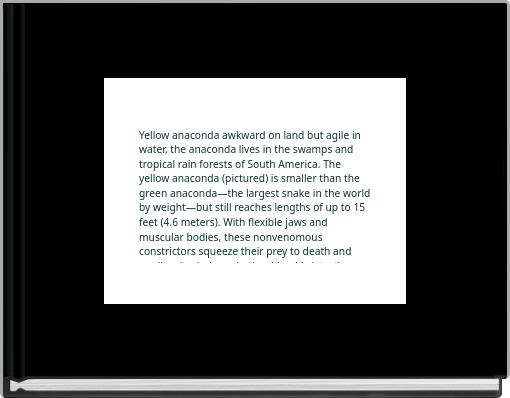 Front cover of 'untitled' 