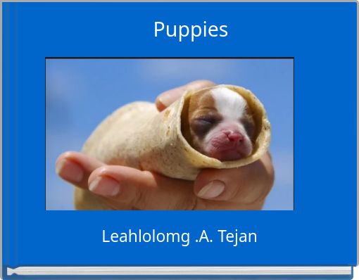 Puppies
