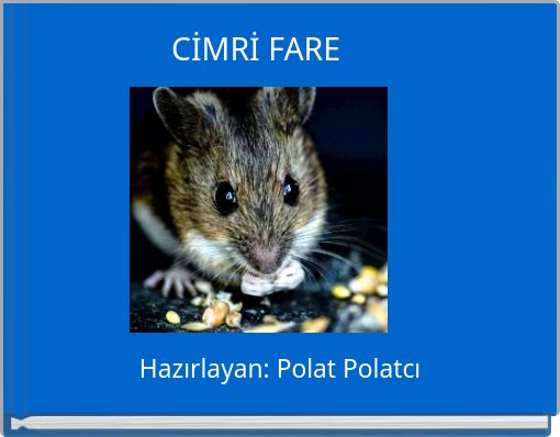 CİMRİ FARE