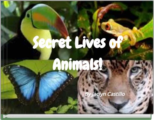 Secret Lives of Animals!