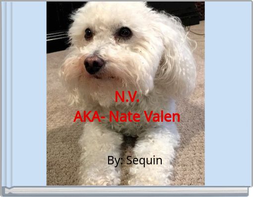 N.V. AKA- Nate Valen