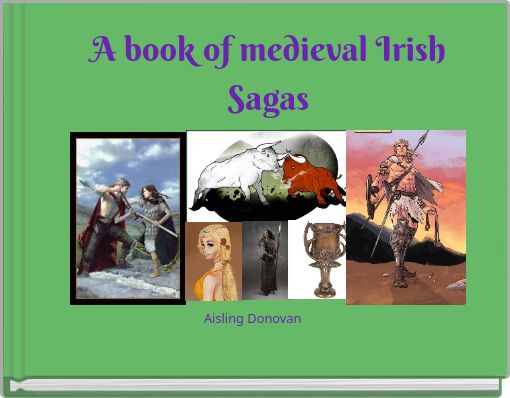 Front cover of 'A book of medieval Irish Sagas' 