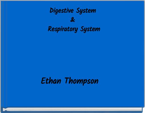Digestive System&amp; Respiratory System