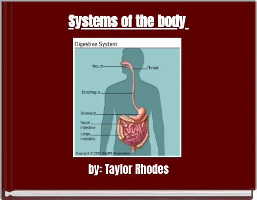 Systems of the body