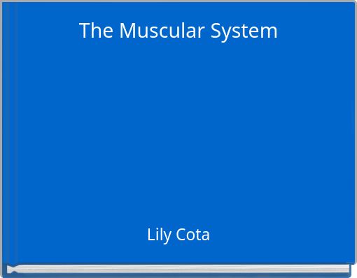 The Muscular System