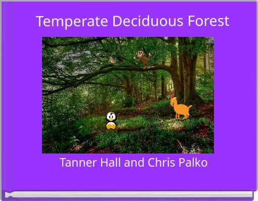 Temperate Deciduous Forest