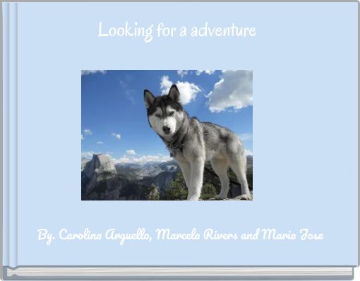 Book Cover for: Looking for a adventure