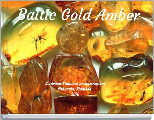 Baltic Gold Amber