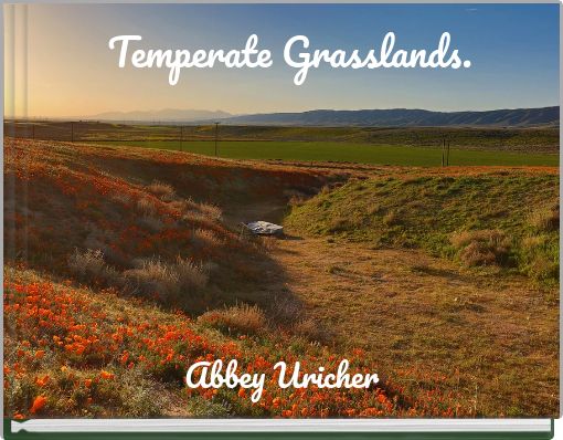 Temperate Grasslands.