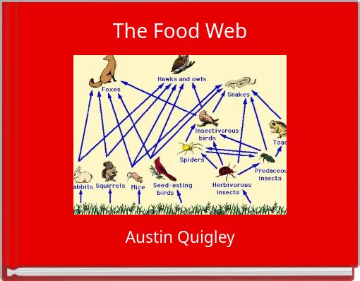 The Food Web