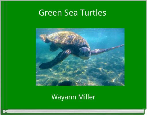 Green Sea Turtles