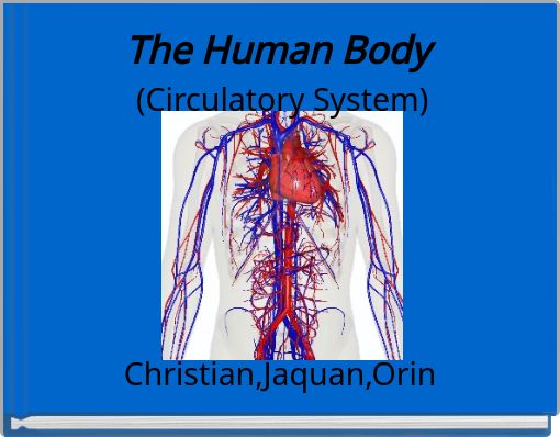 The Human Body (Circulatory System)