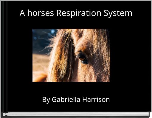 Front cover of 'A horses Respiration System' 