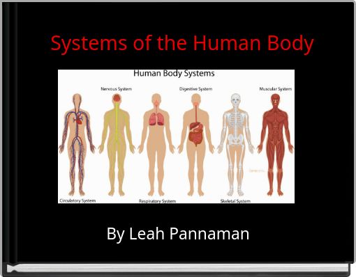 Front cover of 'Systems of the Human Body' 