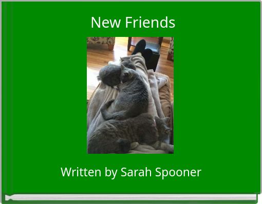 Front cover of 'New Friends' 