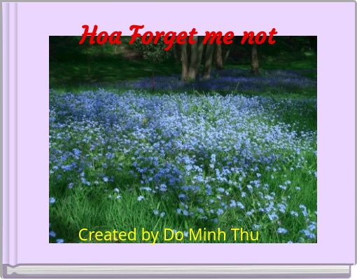 Hoa Forget me not