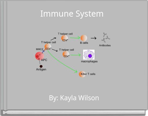 Immune System